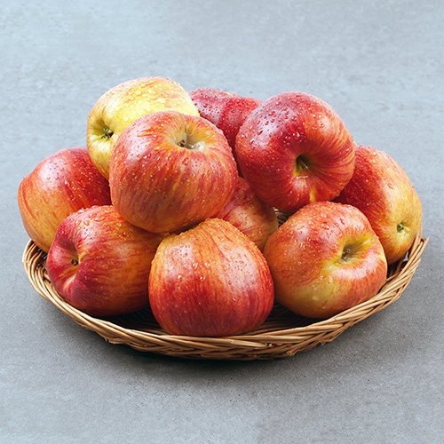 [월명산농원]<br>🍎솔향기 사과(부사) 5kg/10kg