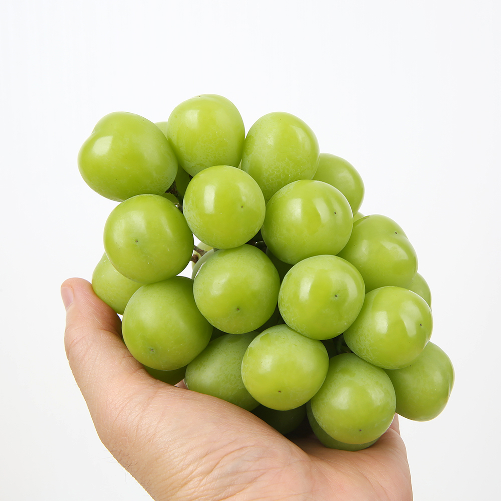 [׸]<br>θӽ 2kg Ưǰ (2~4)
