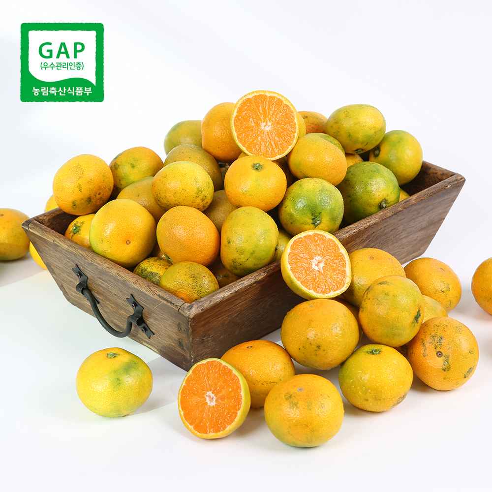 [일랑농장] GAP 하우스 감귤 2.5kg/3kg  굿뜨래푸드인증