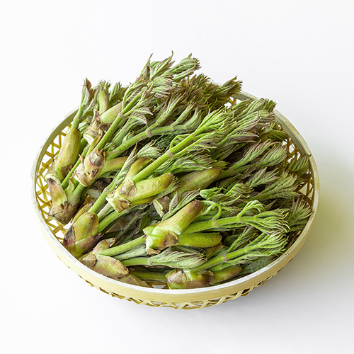 [달하산농장]<br>야생 참두릅 500g 나무두릅 산두릅 
