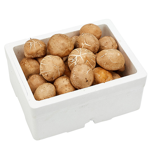 [부여은산착한표고농원]<br>친환경 생표고버섯 1kg/2kg