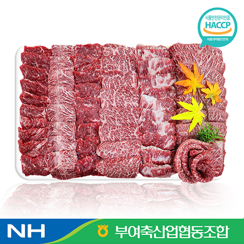 🥩[부여축산업협동조합]<br>굿뜨래 한우 특수부위모듬세트1.6kg 1등급 부직포포장