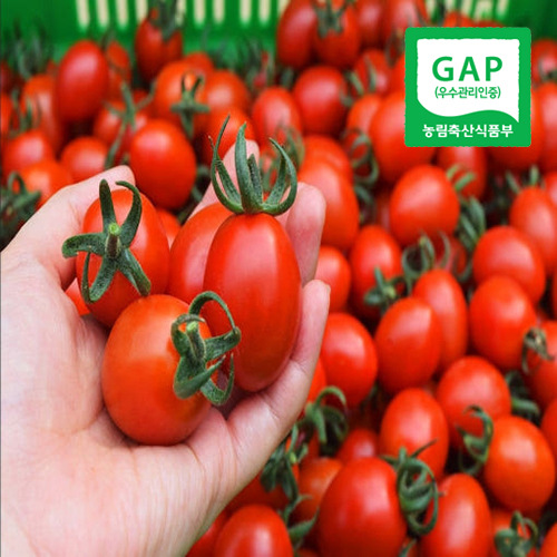 [📢신상품쿠폰][드리미팜]<br>100%품질포장 GAP인증 대추방울토마토 2kg, 5kg 친환경저탄소